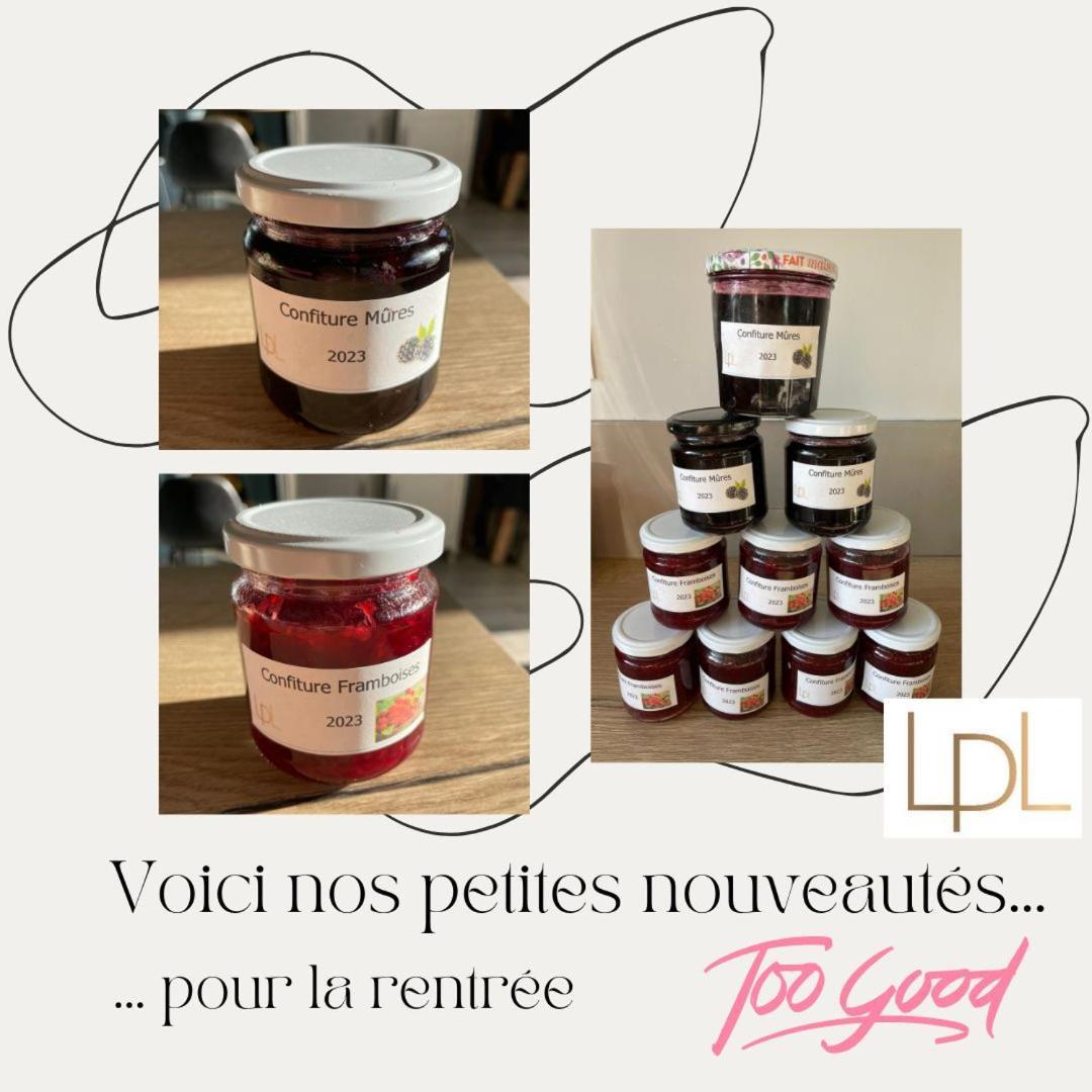 Logis De Pierre Levee Bed & Breakfast Bessines Eksteriør bilde
